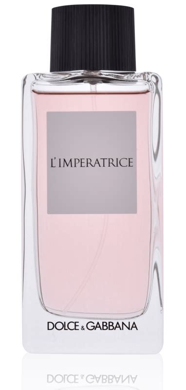 l imperatrice dolce gabbana|dolce gabbana l'imperatrice 100 ml.